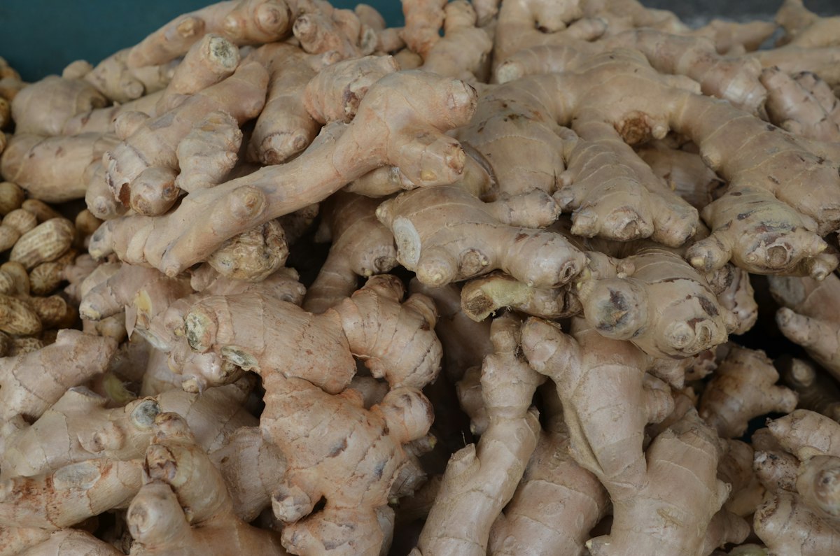 Salvia - plantă medicinală pentru sănătate