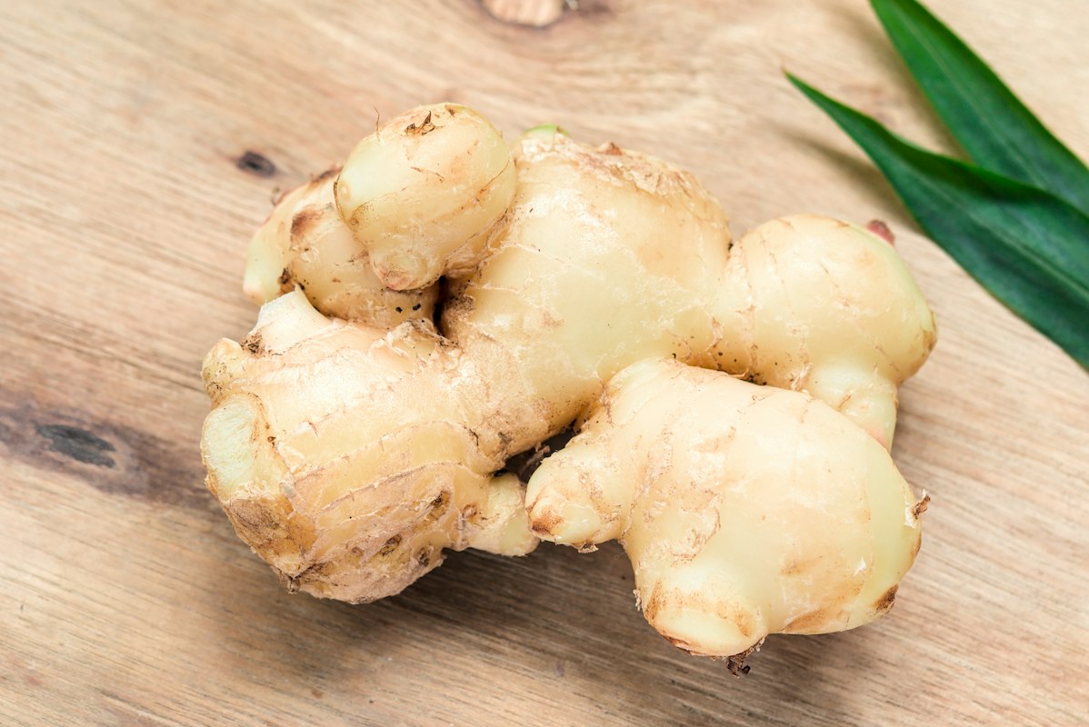 Rozmarin - plantă aromatic cu beneficii circulatorii